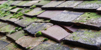 Clifton Campville roof repair costs